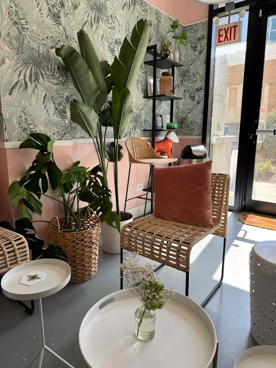 Window seat with plants and afternoon light